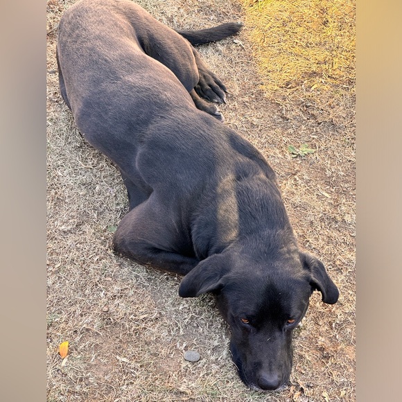 Meet your Posher, Yulisa - Picture 2 of 2